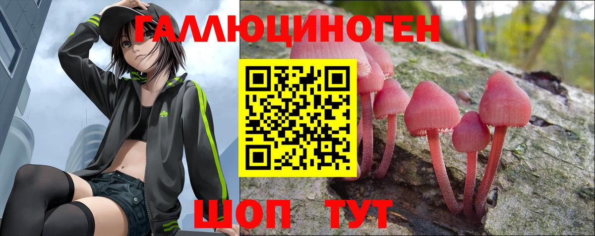Псилоцибиновые грибы Psilocybine cubensis Удомля